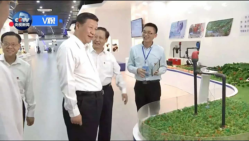 ݼƼ